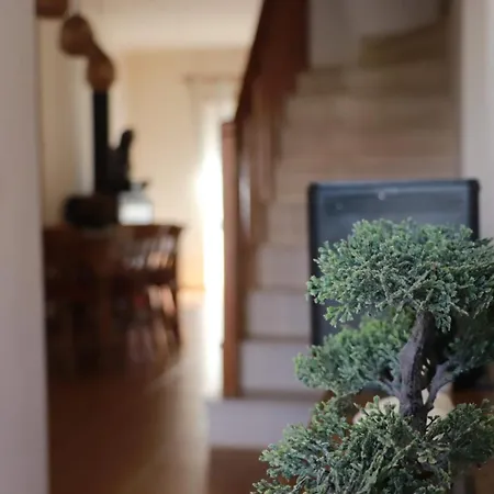 Lejlighed Fantastic With Pool Access Pataias