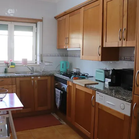 Lejlighed Fantastic With Pool Access Pataias