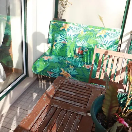 Fantastic With Pool Access Pataias